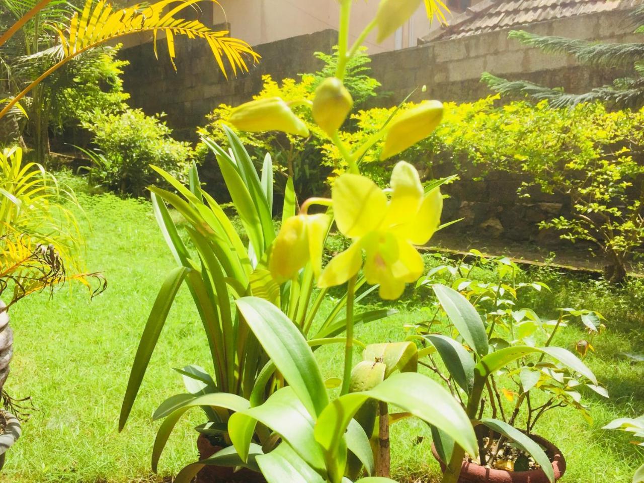 Ganesh House Homestay Kovalam Extérieur photo
